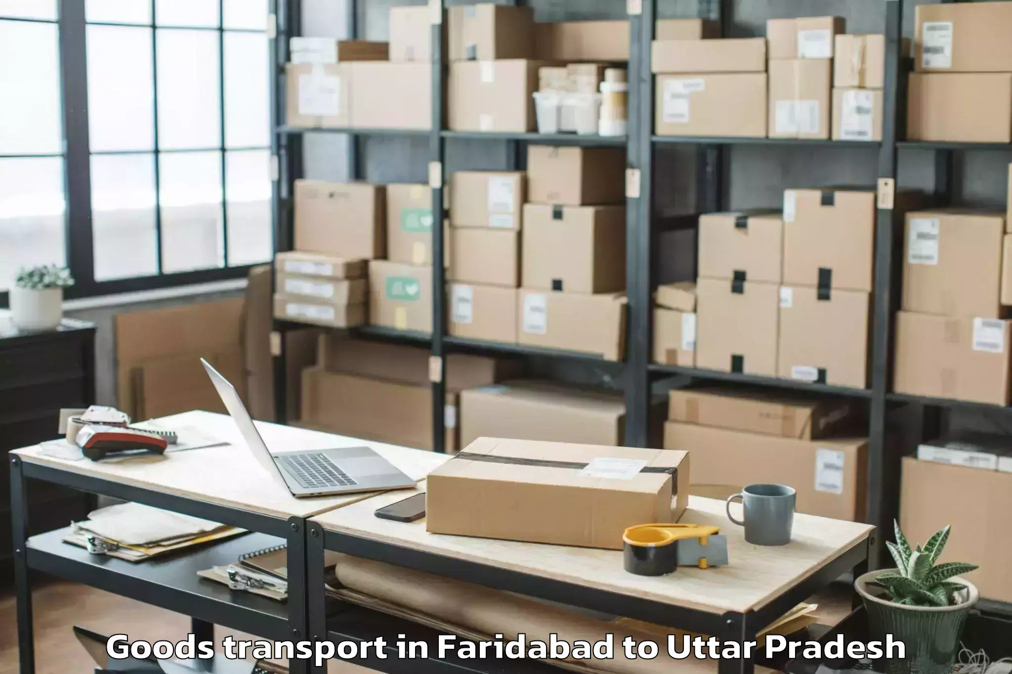 Book Faridabad to Ramnagar Varanasi Goods Transport Online